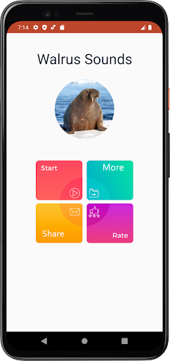 Walrus Sounds Screen 2