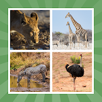 Cover Image of Unduh Learn Animal Names  APK