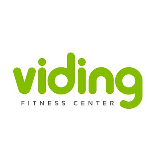 Segmentacion Viding logo
