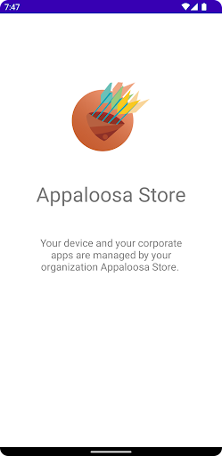 Appaloosa Screen 2