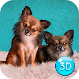 Chihuahua Puppy Pet House Life Simulator icon