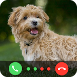 Dog Call You icon