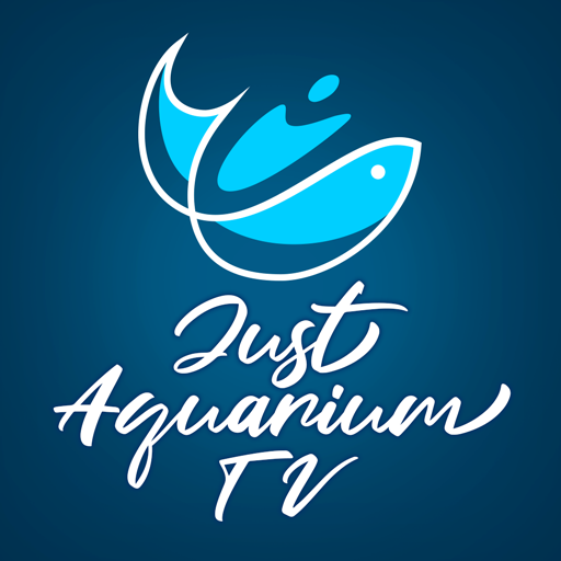 Just Aquarium TV Descarga en Windows