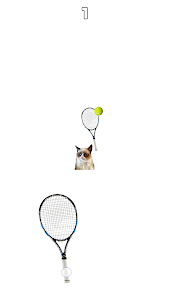 Cat Tennis
