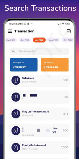 Pesa Analyser Ledger Screen 3