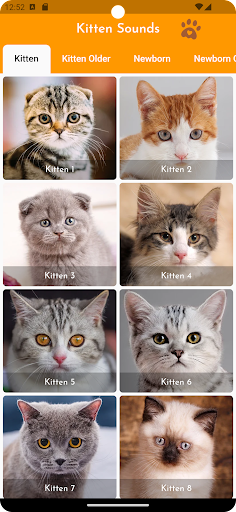 Android application Kitten Sounds screenshort