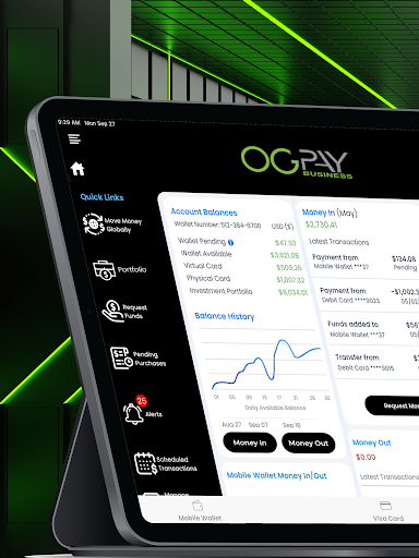 OGPay Business 7