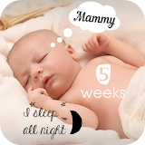 Baby Milestones Pics Story Editing App icon