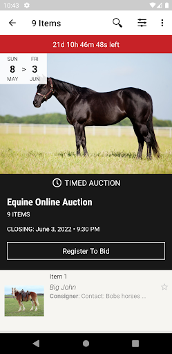 Equine Online Auction Screen 2
