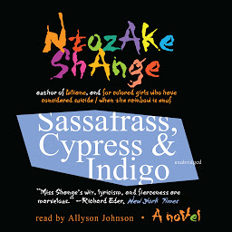 Obraz ikony: Sassafrass, Cypress & Indigo: A Novel