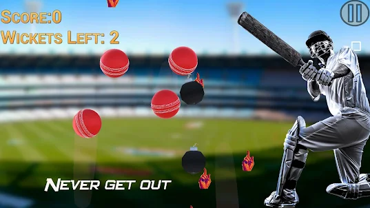 Hit Cricket - Mobile Finger Le
