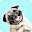 Cute Dogs Wallpaper – HD 4K Download on Windows