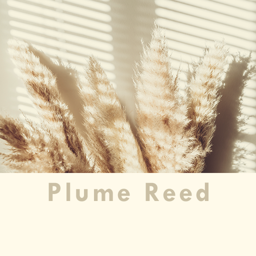 Plume Reed Theme +HOME logo