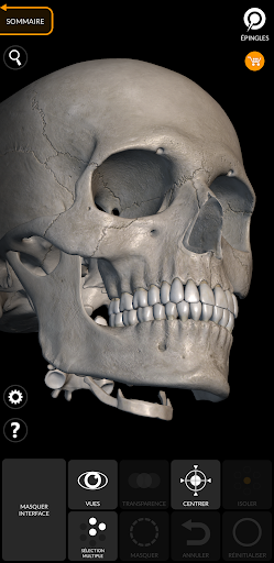 Squelette | Anatomie 3D screenshot 3