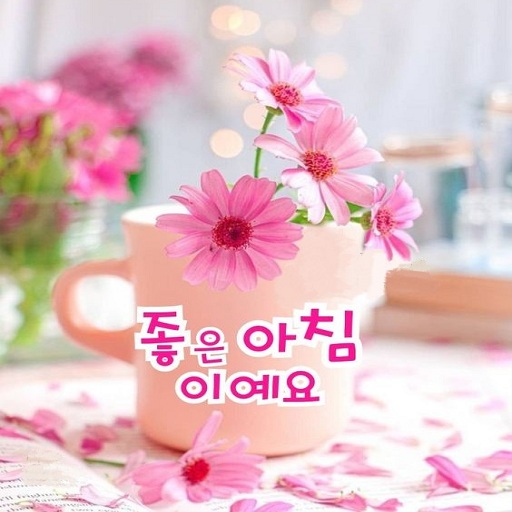 카드 좋은 아침 logo