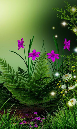Android application Beautiful Wallpapers 4K screenshort
