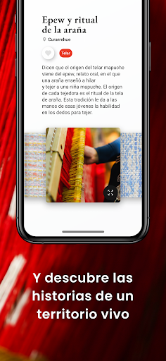 RDx Curarrehue Screen 3