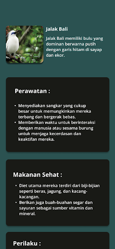 Android application jalak bird care screenshort