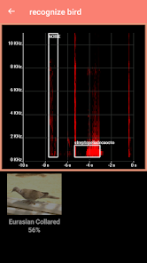 Bird Identification  screenshots 3