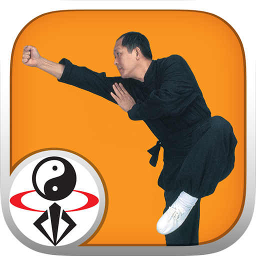 Shaolin Kung Fu 1.0.7 Icon