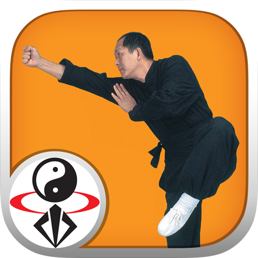 Shaolin Kung Fu  Icon