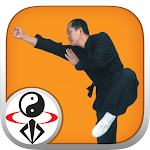 Cover Image of Unduh Kungfu Shaolin  APK
