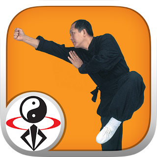 Shaolin Kung Fu apk