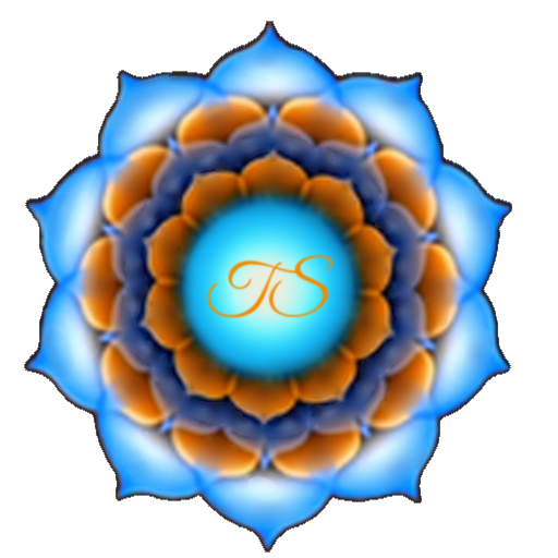 KTSDoctor logo