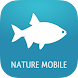 Fische 2 PRO - Androidアプリ