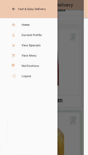 Skye Flye Screen 2
