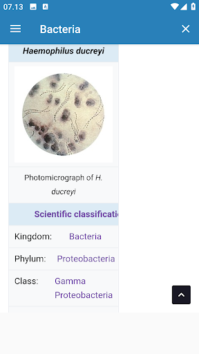 Android application Bacteria screenshort