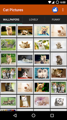 Android application Cat wallpapers and funny pics screenshort