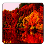 Autumn Live Wallpaper icon