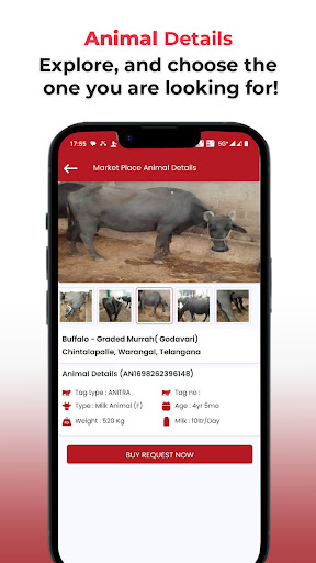 Anitra - Buy & Sell Livestock Screen 3