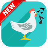 Guide For Chicken Scream 2017 icon