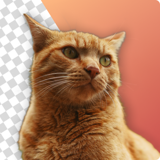 Background Remover: Auto Erase logo