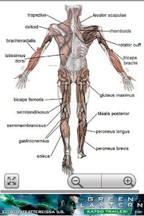 Human Anatomy - Apps on Google Play