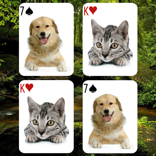 Animals Card Matching Game 1.0.1 Icon