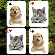 Animals Card Matching Game