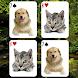 Animals Card Matching Game - Androidアプリ