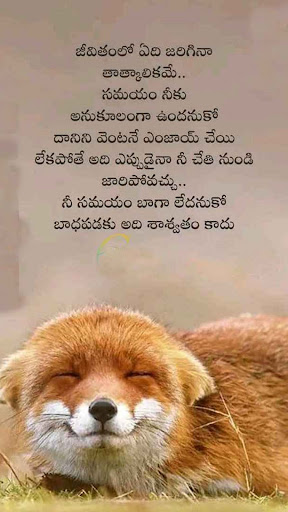 Inspirational Quotes In Telugu Screen 2