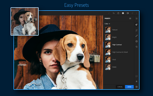 Adobe Lightroom - Photo Editor & Pro Camera 6.2.1 screenshots 9
