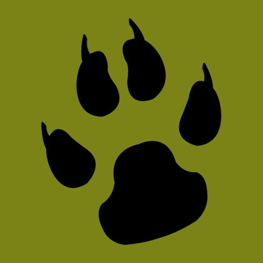 A Cats Journey logo