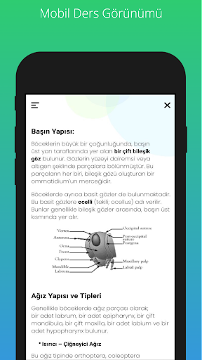 ZW Dijital Screen 2