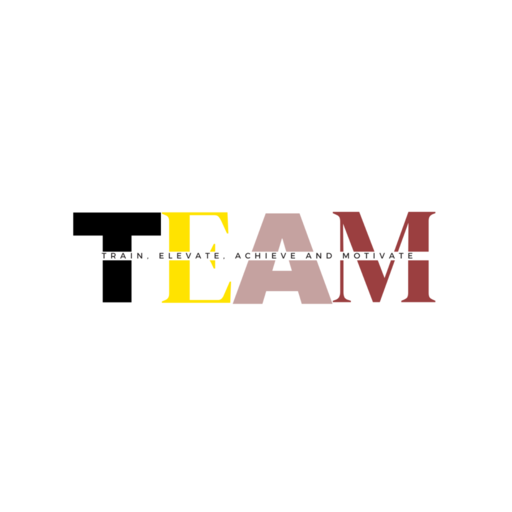 TEAM logo