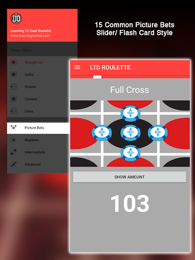 Learning To Deal Roulette LTD Screen 2