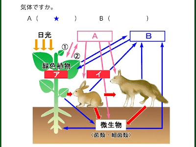 [10000印刷√] 楽しい 理科 965289-中学生 楽しい 理科