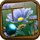 Rolling the Ball - May Flowers icon