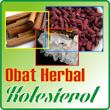 Obat Herbal Kolesterol icon