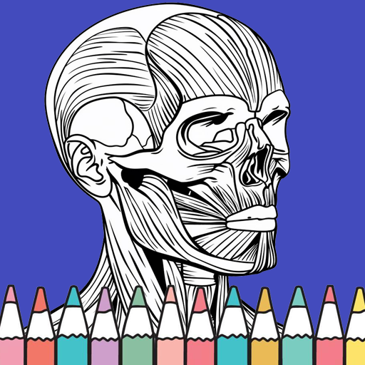 Human Anatomy Coloring Book Download on Windows